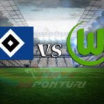Hamburg vs Wolfsburg