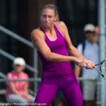 piatadeponturi-wickmeyer