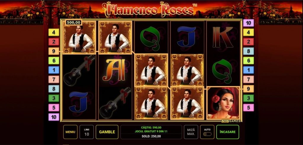 Castig Bonus Flamenco Roses