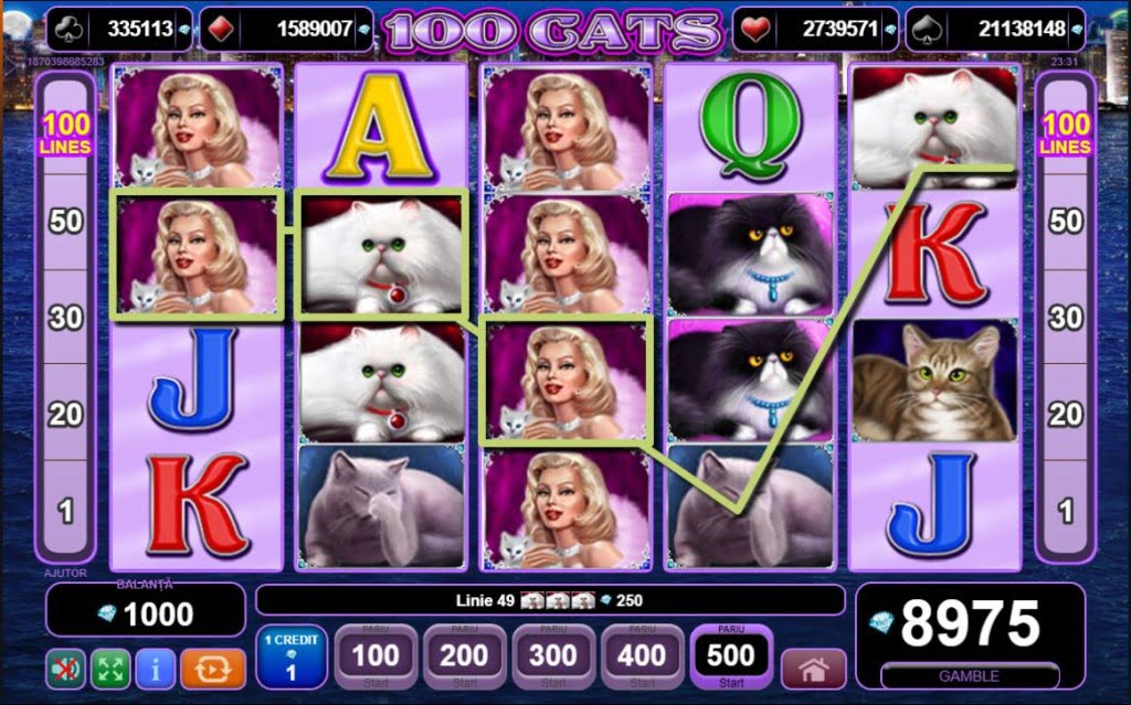 mega castig 100 cats