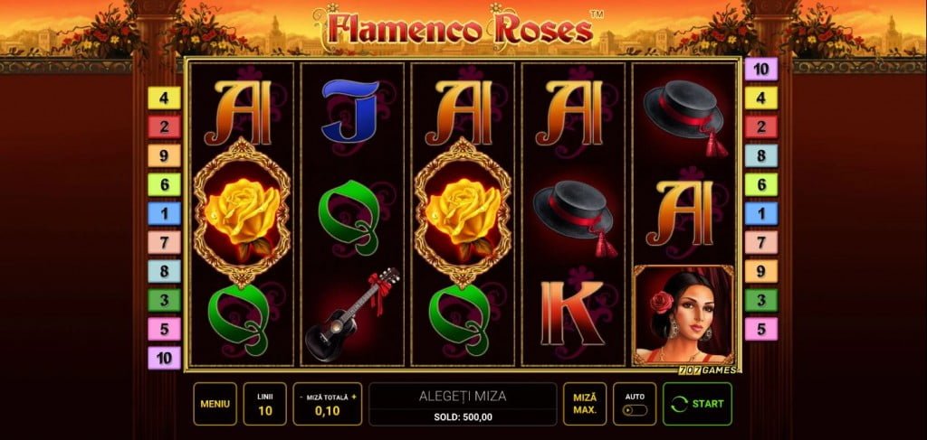 Ecran de inceput Flamenco Roses