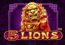 5 Lions
