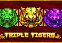 Triple Tigers